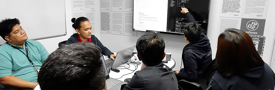 Freelancer vs onshore and offshore software development company