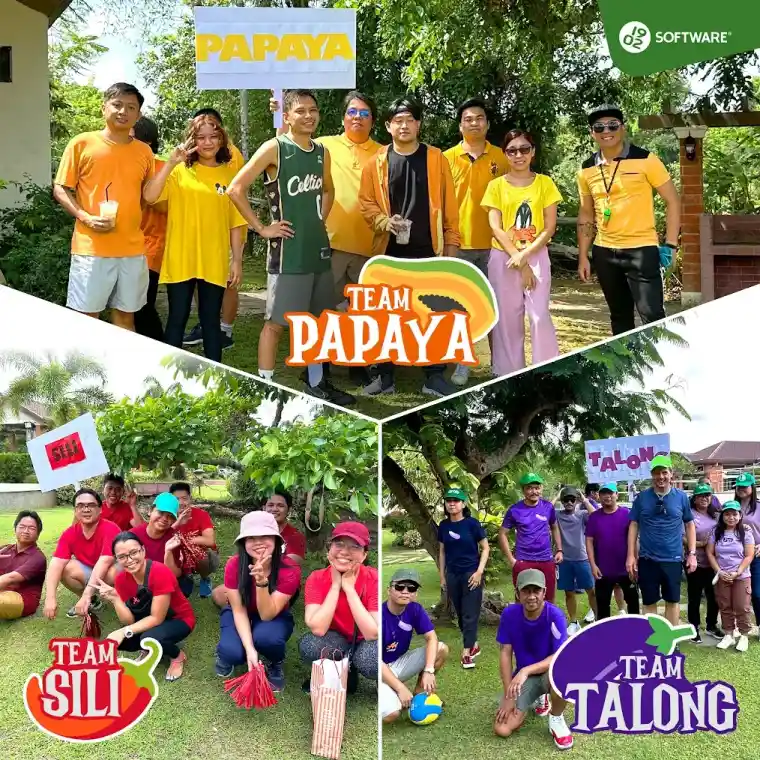 Three groups of people outdoors wearing coordinated colors: Team Papaya in yellow/orange, Team Sili in red, and Team Talong in purple, each holding signs with their team names.