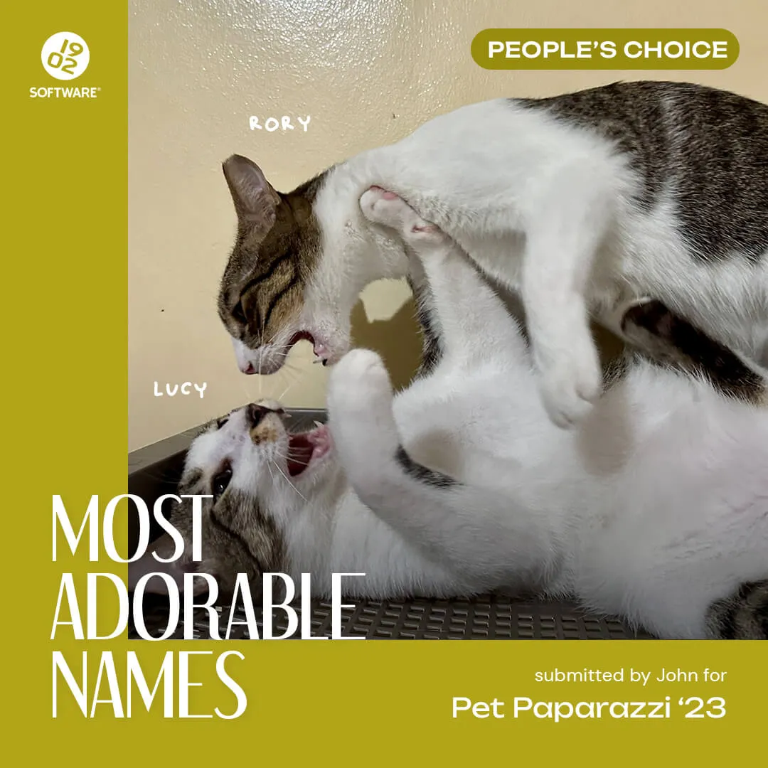 Two cats named Rory and Lucy playfully interacting, with text announcing "Most Adorable Names" and "People's Choice" for Pet Paparazzi '23.