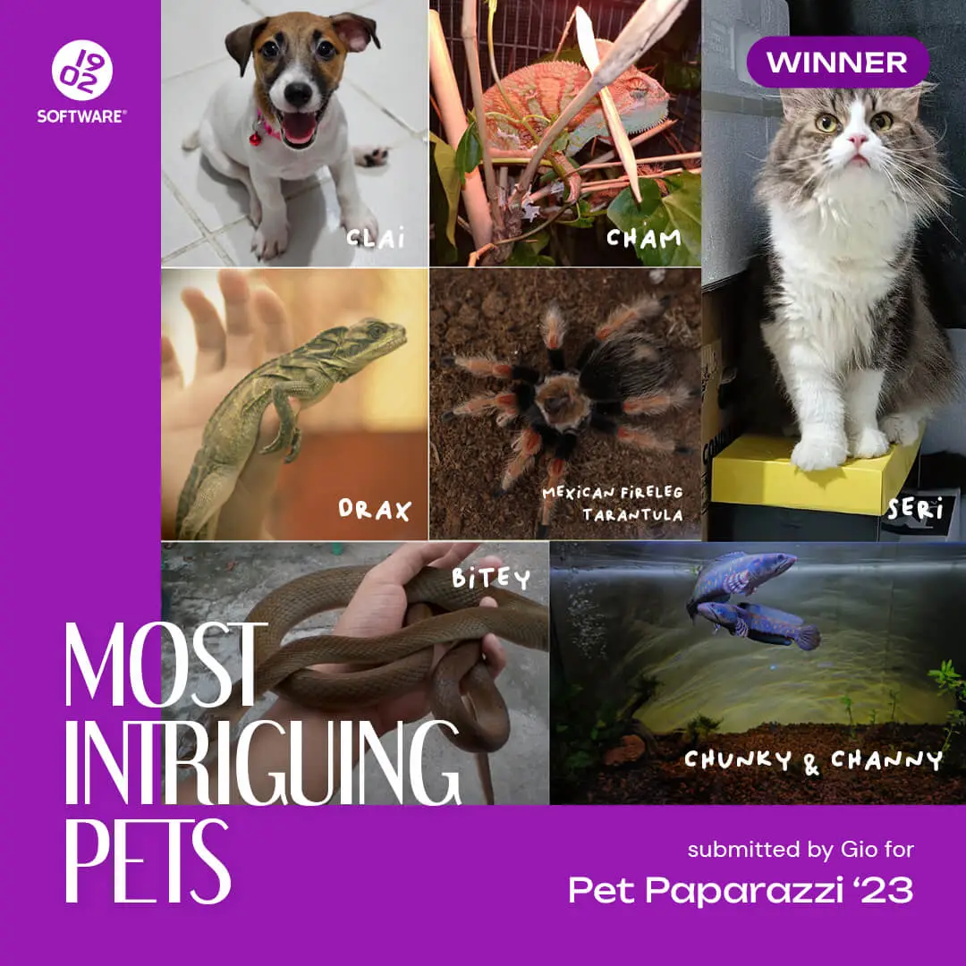 Collage of seven pets labeled Clai­, Cham, Drax, Mexican Fireleg Tarantula, Bitey, Chunky & Channy, and Seri with Seri marked as winner, titled Most Intriguing Pets, submitted by Gio for Pet Paparazzi '23.