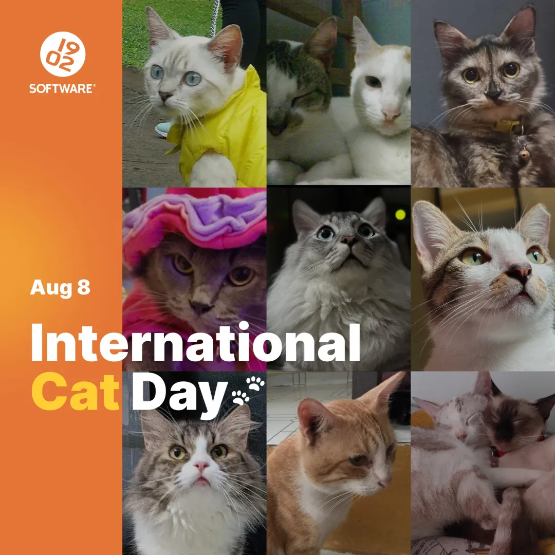 Collage of nine cats with 1902 Software logo and text "Aug 8 International Cat Day" on orange background panel.